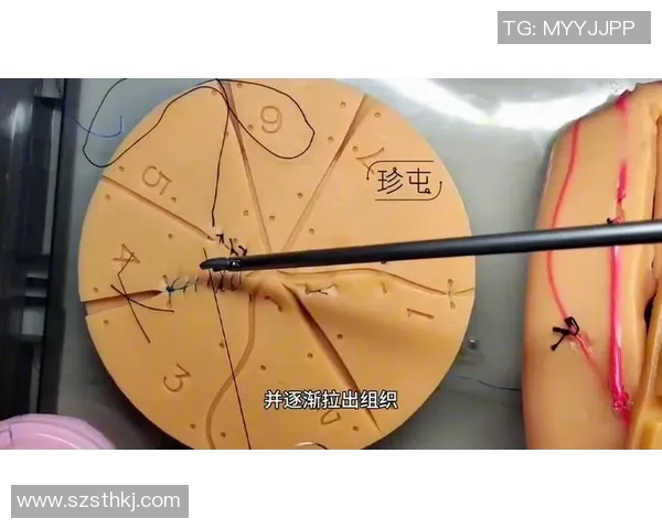 重庆排球队战术解析与提升策略探讨助力球队更上一层楼