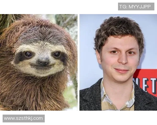 足球明星撞脸瞬间大揭秘那些令人惊讶的相似度与意外重叠的面孔 足球明星撞脸瞬间大揭秘那些令人惊讶的相似度与意外重叠的面孔