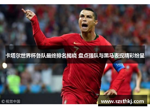 卡塔尔世界杯各队最终排名揭晓 盘点强队与黑马表现精彩纷呈
